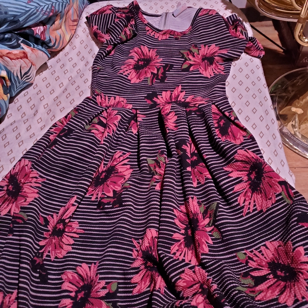 Lularoe Amelia floral dress